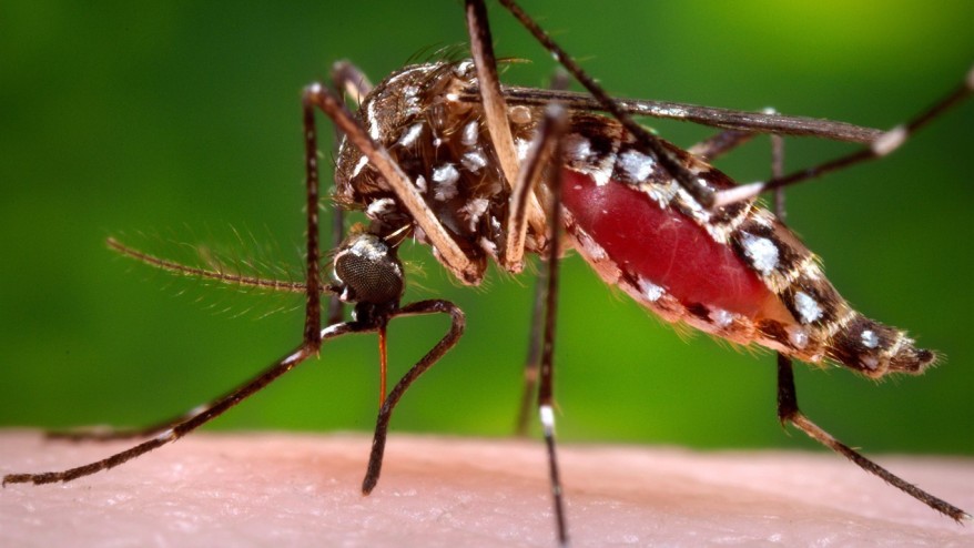 Zika virus detected in woman in Spokane County