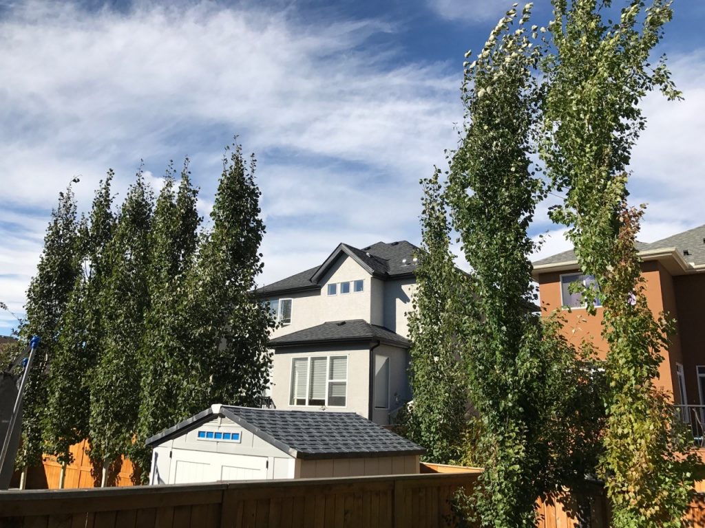 A photo of a home with trees, CITYNEWS/Mike Yawney